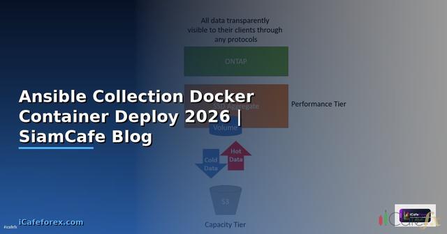 Ansible Collection Docker Container Deploy
