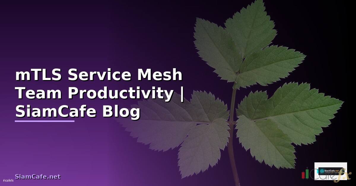 mTLS Service Mesh Team Productivity