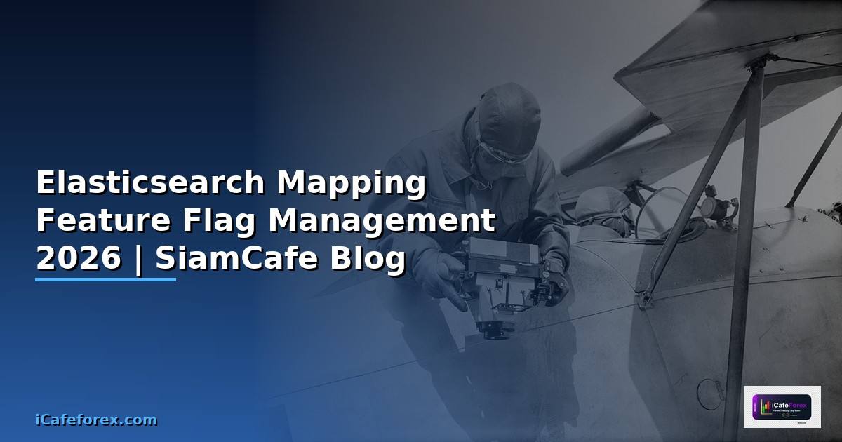 Elasticsearch Mapping Feature Flag Management