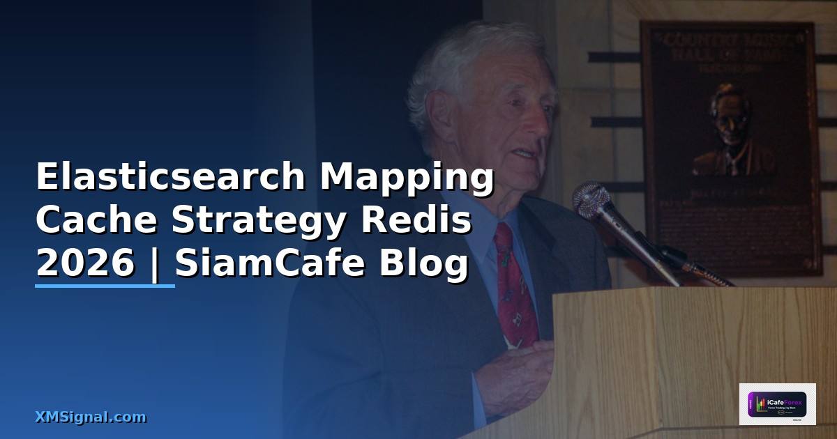 Elasticsearch Mapping Cache Strategy Redis