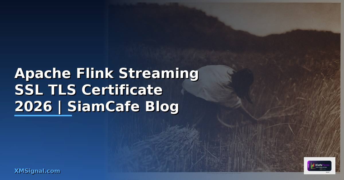 Apache Flink Streaming SSL TLS Certificate