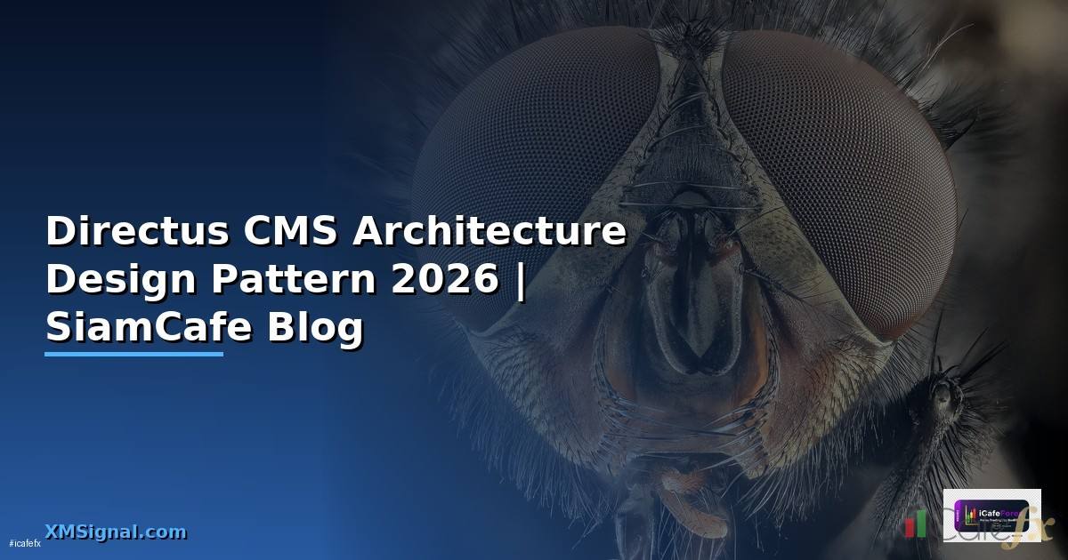 Directus CMS Architecture Design Pattern