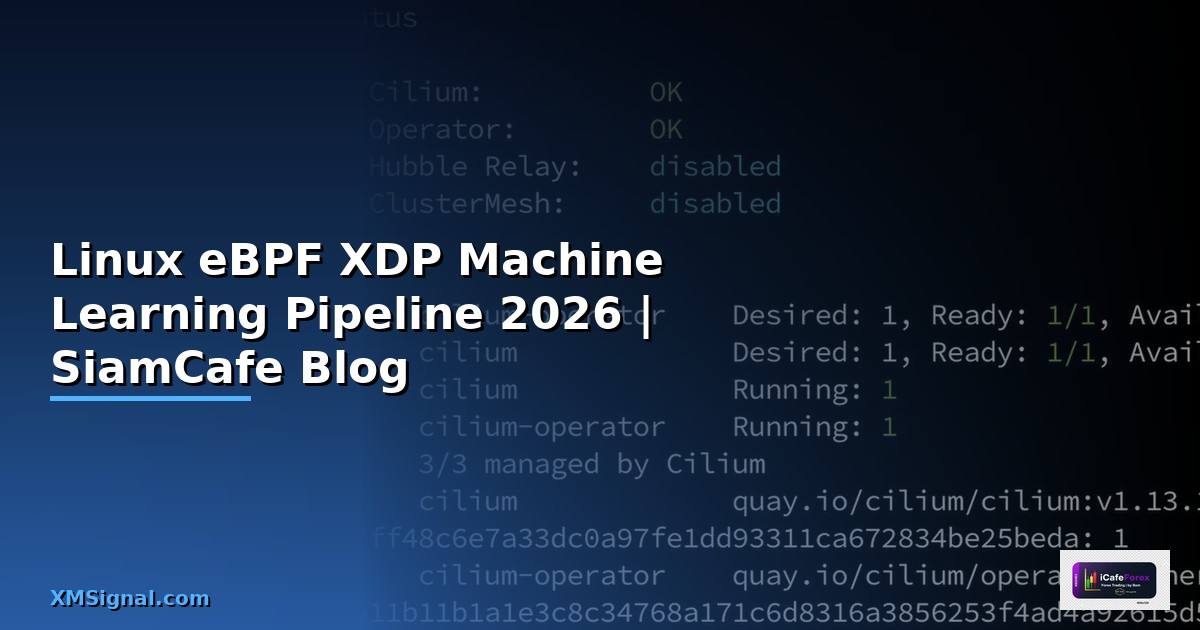 Linux eBPF XDP Machine Learning Pipeline