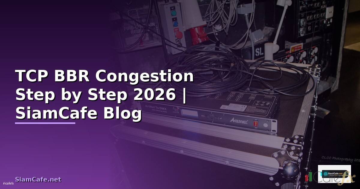 TCP BBR Congestion สำหรับมือใหม่ Step by Step — คู่มือฉบับสมบูรณ์ 2026