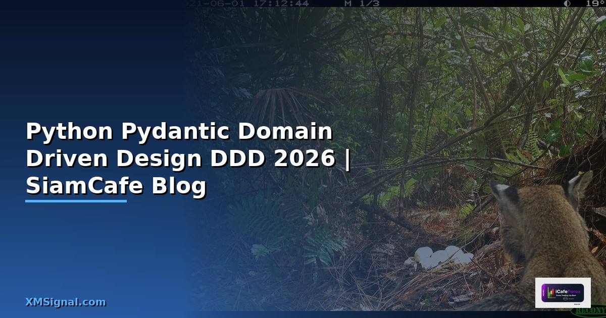 Python Pydantic Domain Driven Design DDD