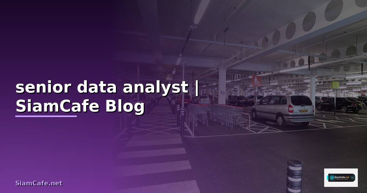 senior data analyst เงินเดือน