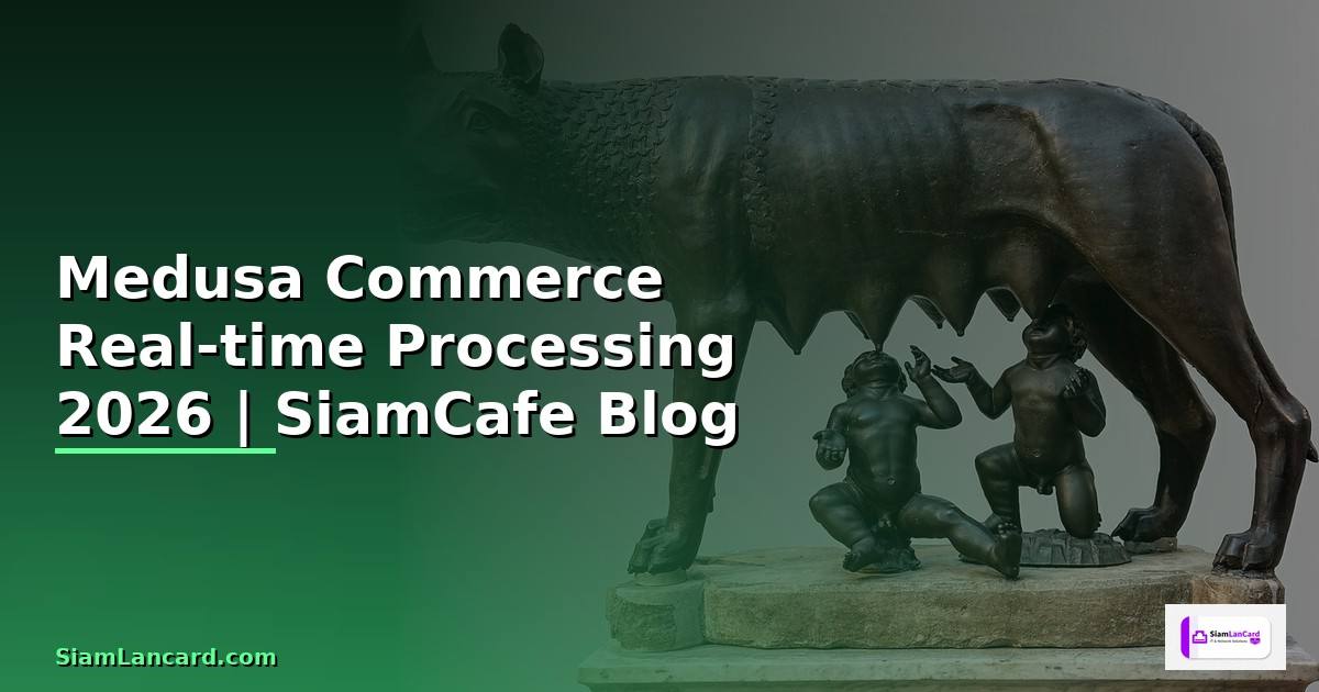 Medusa Commerce Real-time Processing