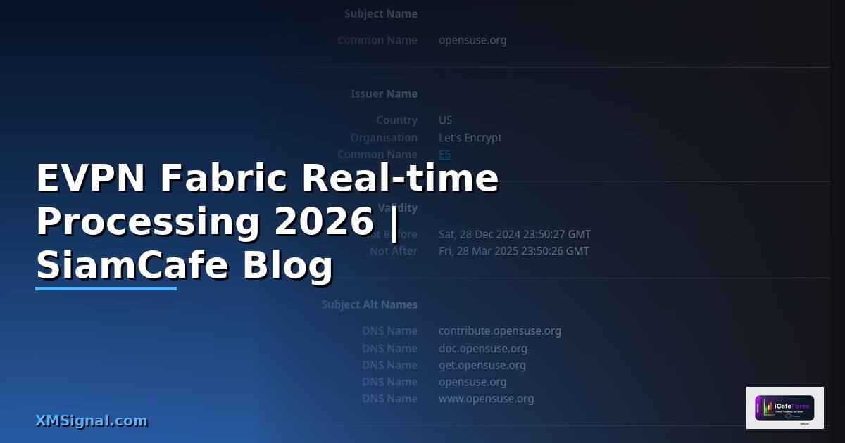 EVPN Fabric Real-time Processing