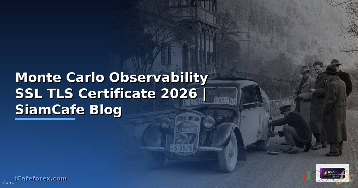 Monte Carlo Observability SSL TLS Certificate