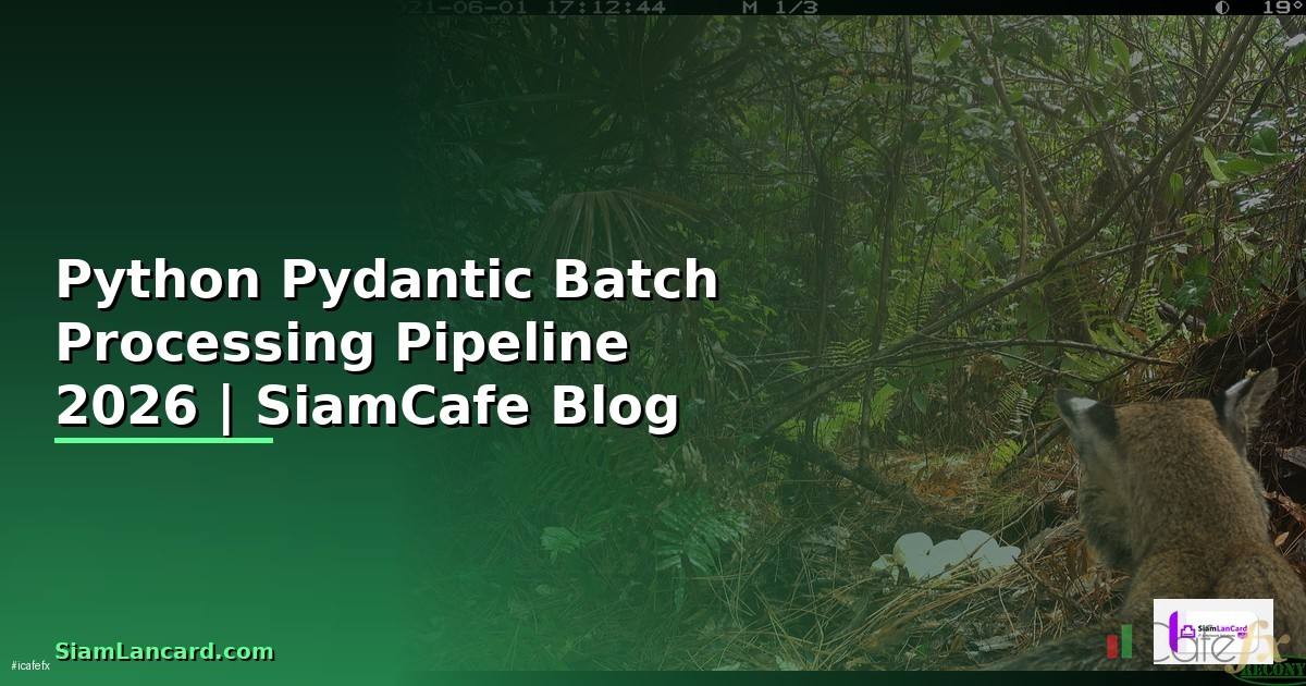 Python Pydantic Batch Processing Pipeline