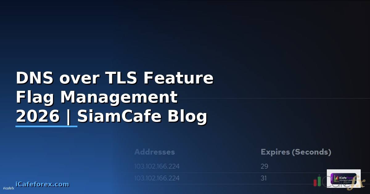 DNS over TLS Feature Flag Management