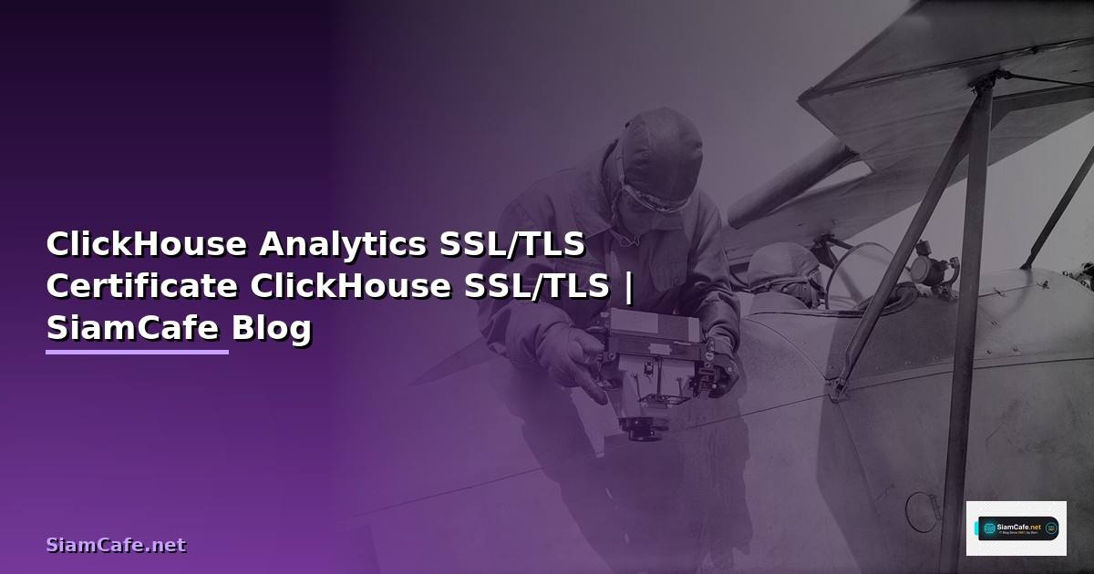 ClickHouse Analytics กับ SSL/TLS Certificate —