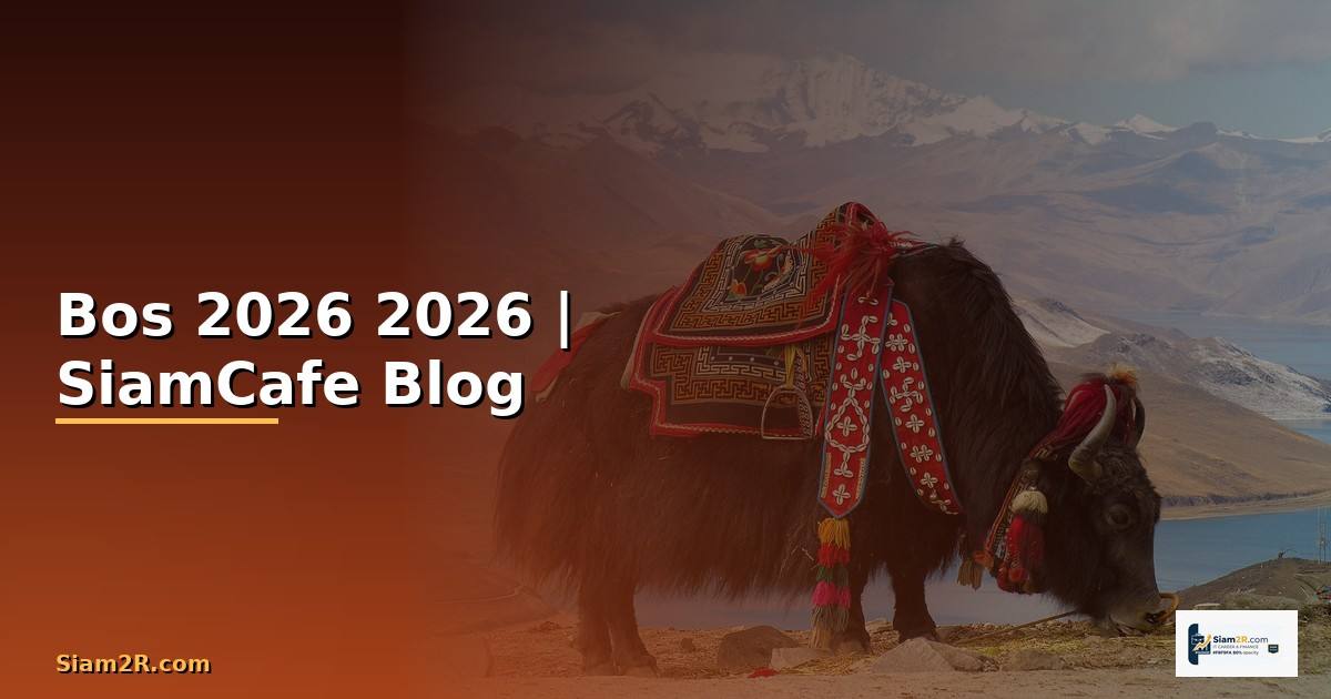 Bos คืออะไร — คู่มือฉบับสมบูรณ์ 2026
