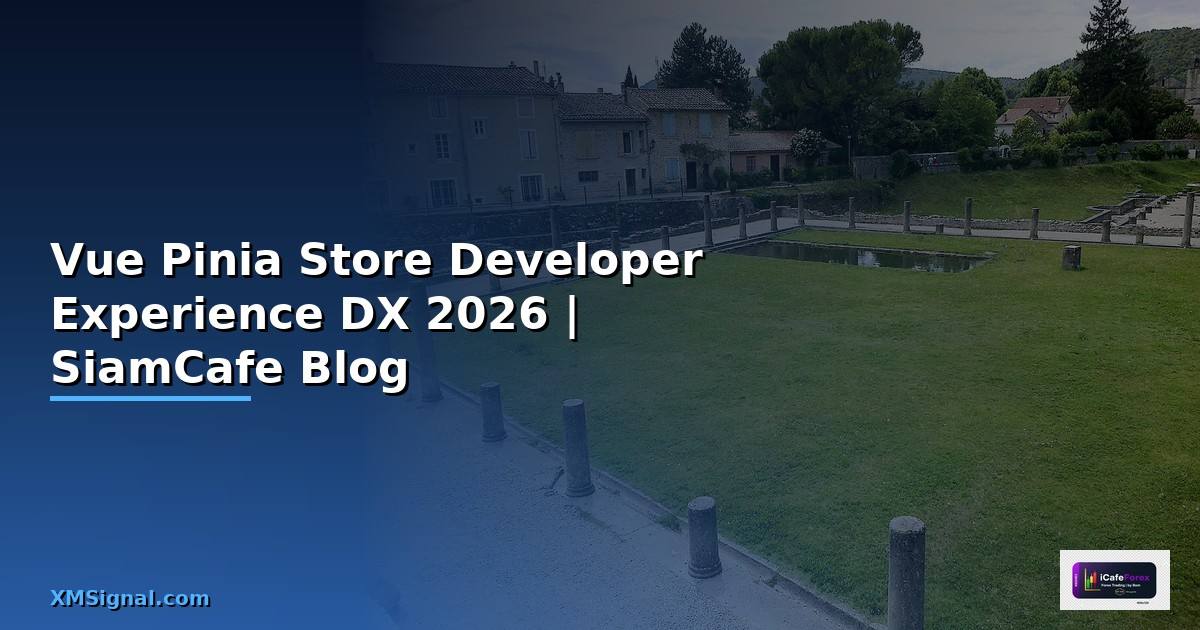 Vue Pinia Store Developer Experience DX