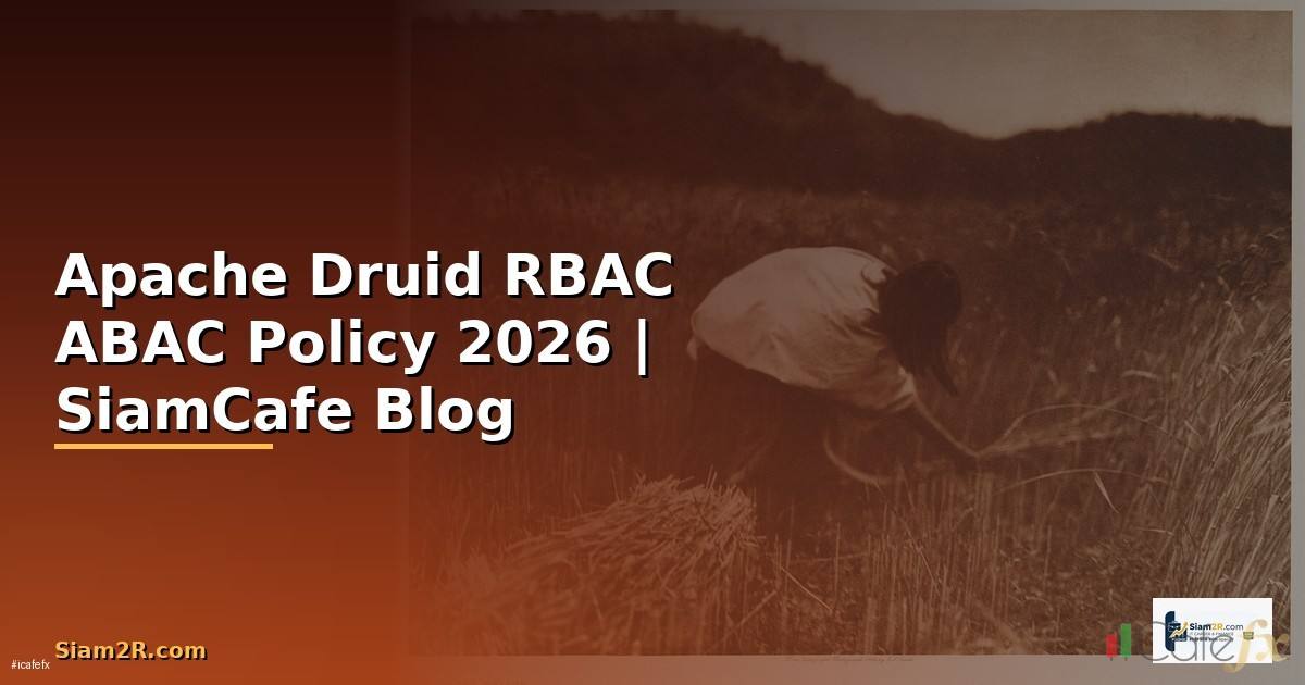 Apache Druid RBAC ABAC Policy