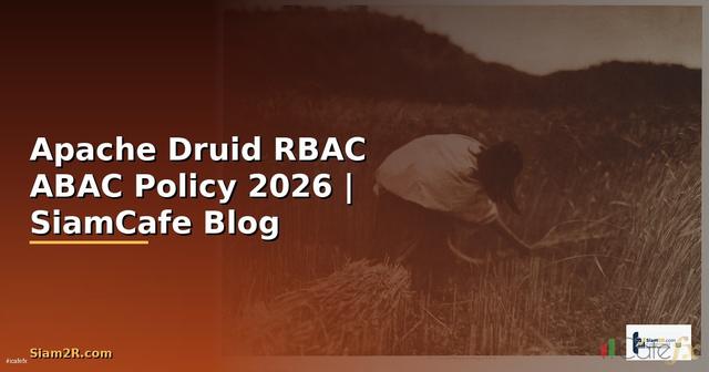Apache Druid RBAC ABAC Policy