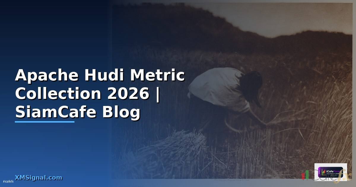 Apache Hudi Metric Collection