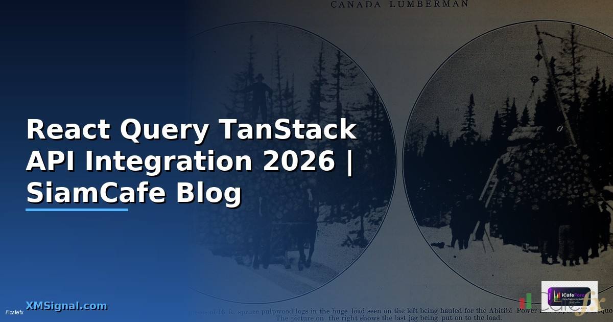 React Query TanStack API Integration