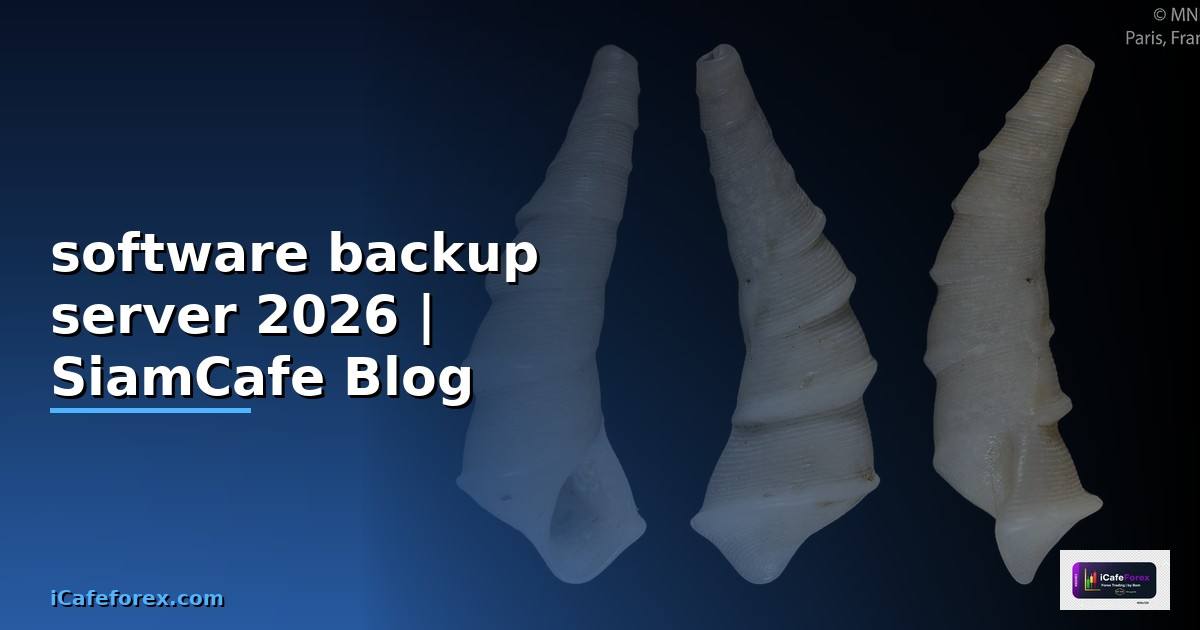 software backup server