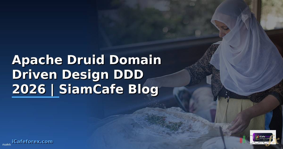 Apache Druid Domain Driven Design DDD
