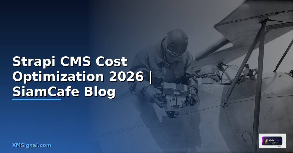 Strapi CMS Cost Optimization ลดค่าใช้จ่าย
