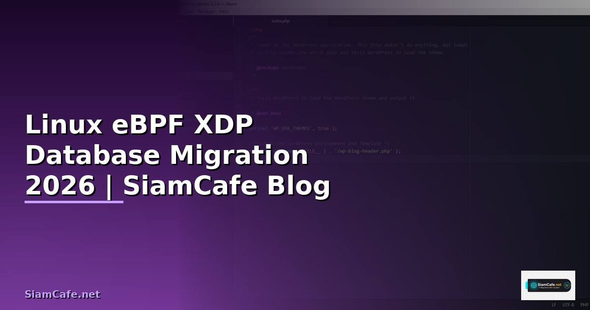 Linux eBPF XDP Database Migration