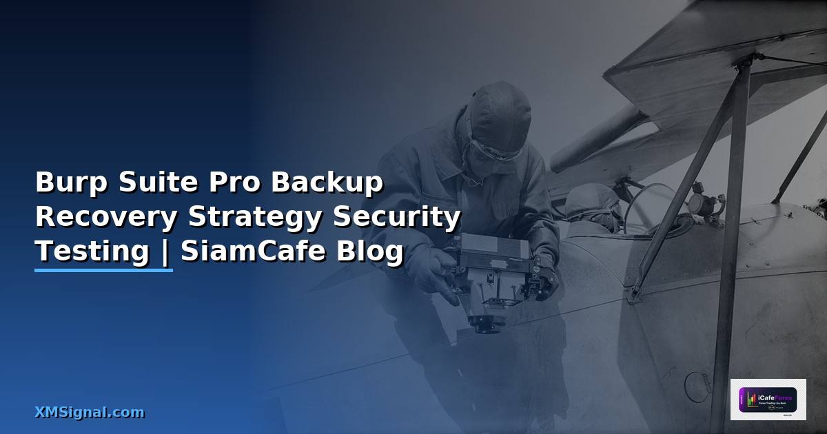 Burp Suite Pro Backup Recovery Strategy สำรองและกู้คืนข้อมูล Security Testing