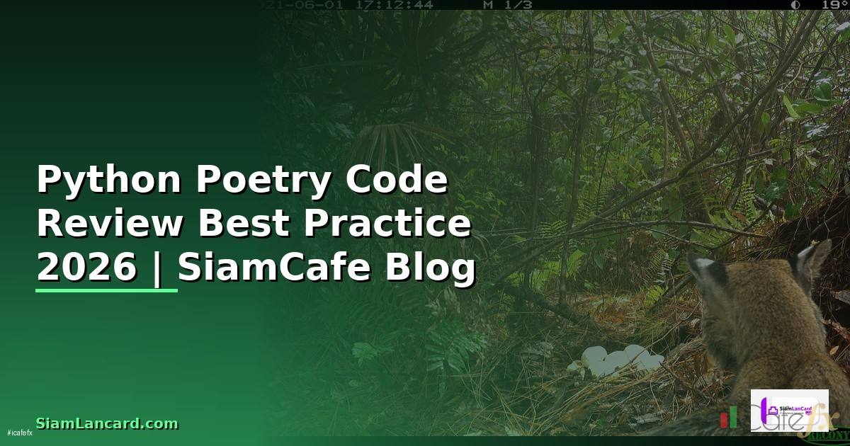 Python Poetry Code Review Best Practice