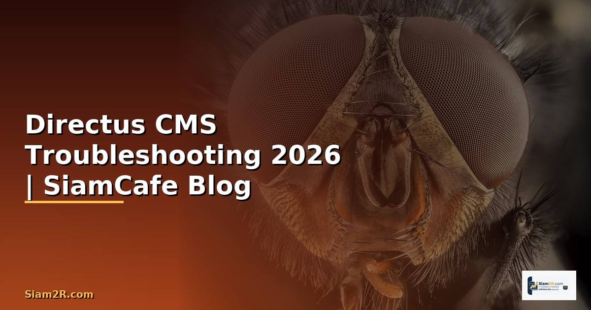 Directus CMS Troubleshooting แก้ปัญหา