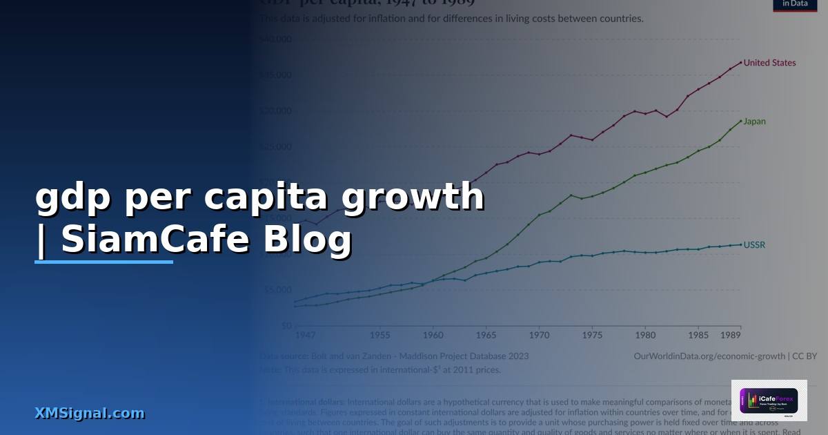 gdp per capita growth คือ