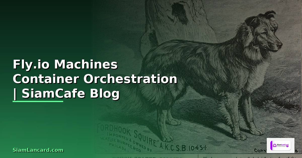 Fly.io Machines Container Orchestration