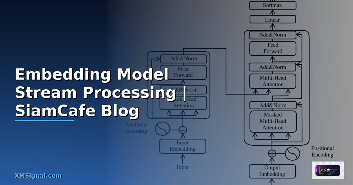 Embedding Model Stream Processing