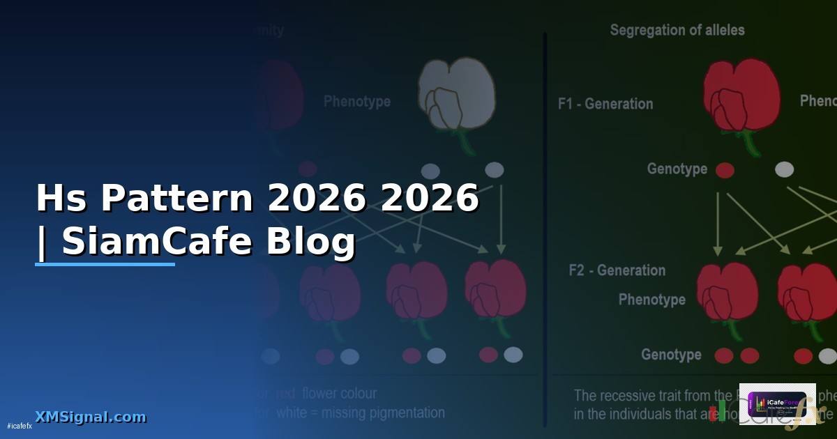 Hs Pattern — คู่มือฉบับสมบูรณ์ 2026