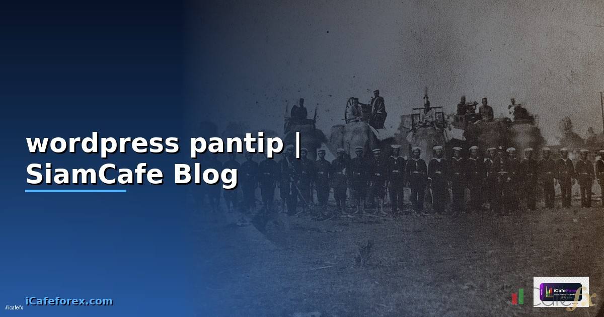 wordpress คืออะไร pantip