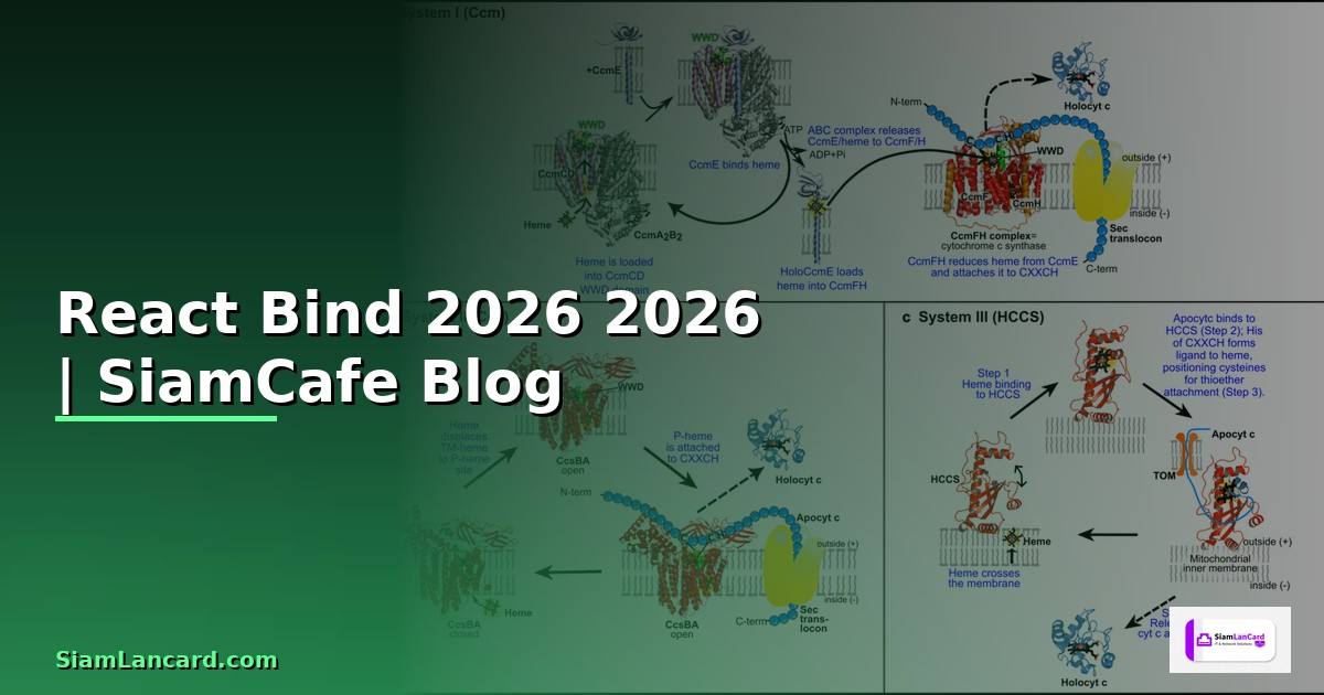 React Bind คืออะไร — คู่มือโปรแกรมมิ่ง 2026