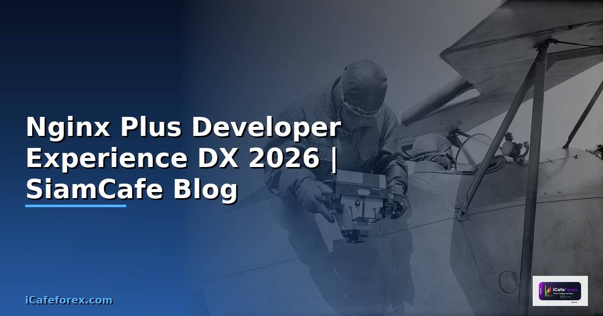 Nginx Plus Developer Experience DX