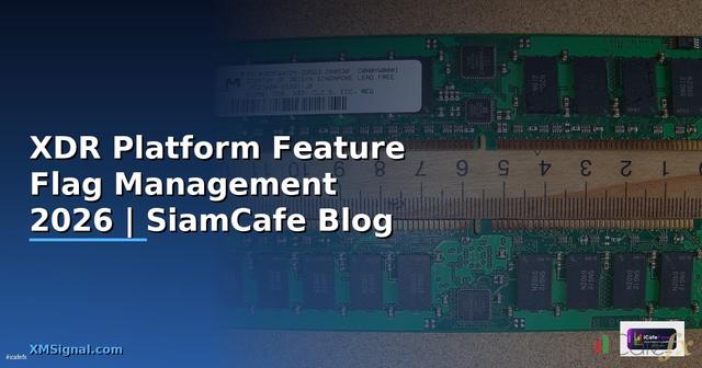 XDR Platform Feature Flag Management