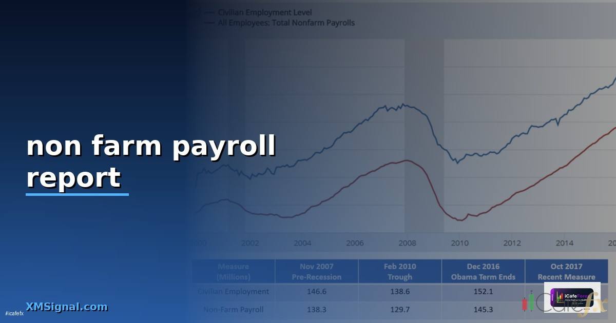 non farm payroll report —
