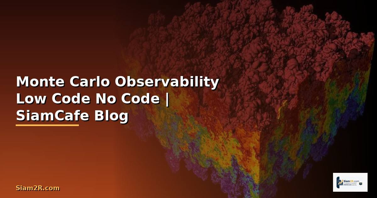 Monte Carlo Observability Low Code No Code