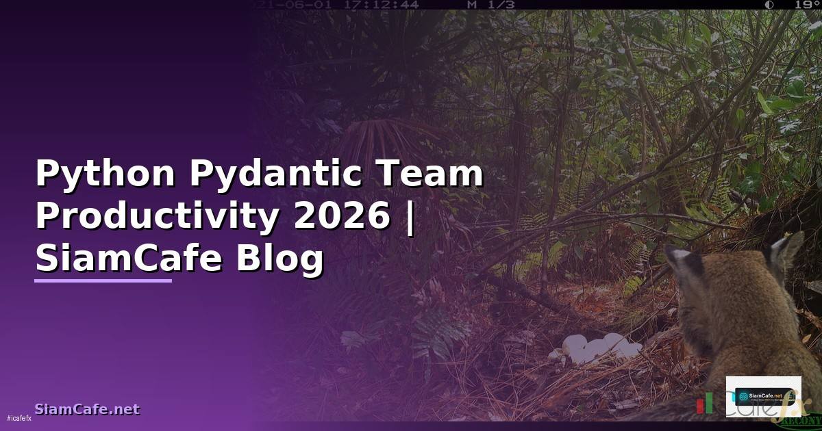 Python Pydantic Team Productivity