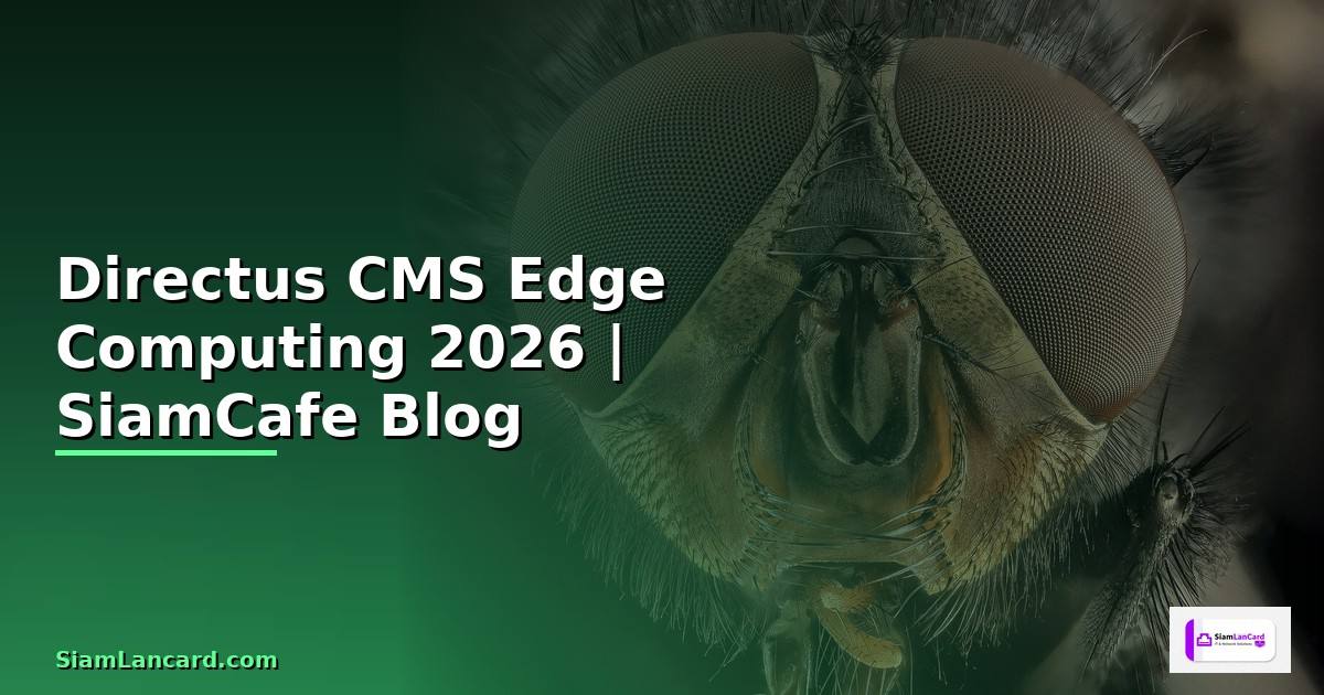 Directus CMS Edge Computing