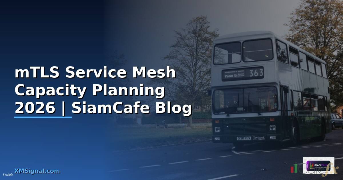 mTLS Service Mesh Capacity Planning