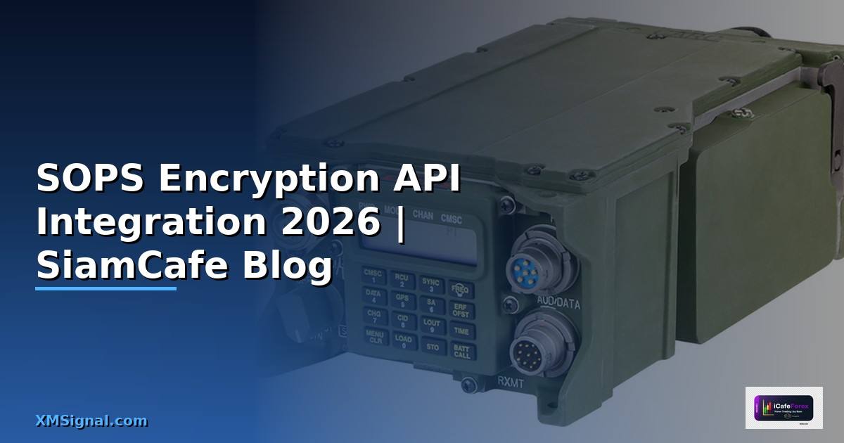 SOPS Encryption API Integration เชื่อมต่อระบบ