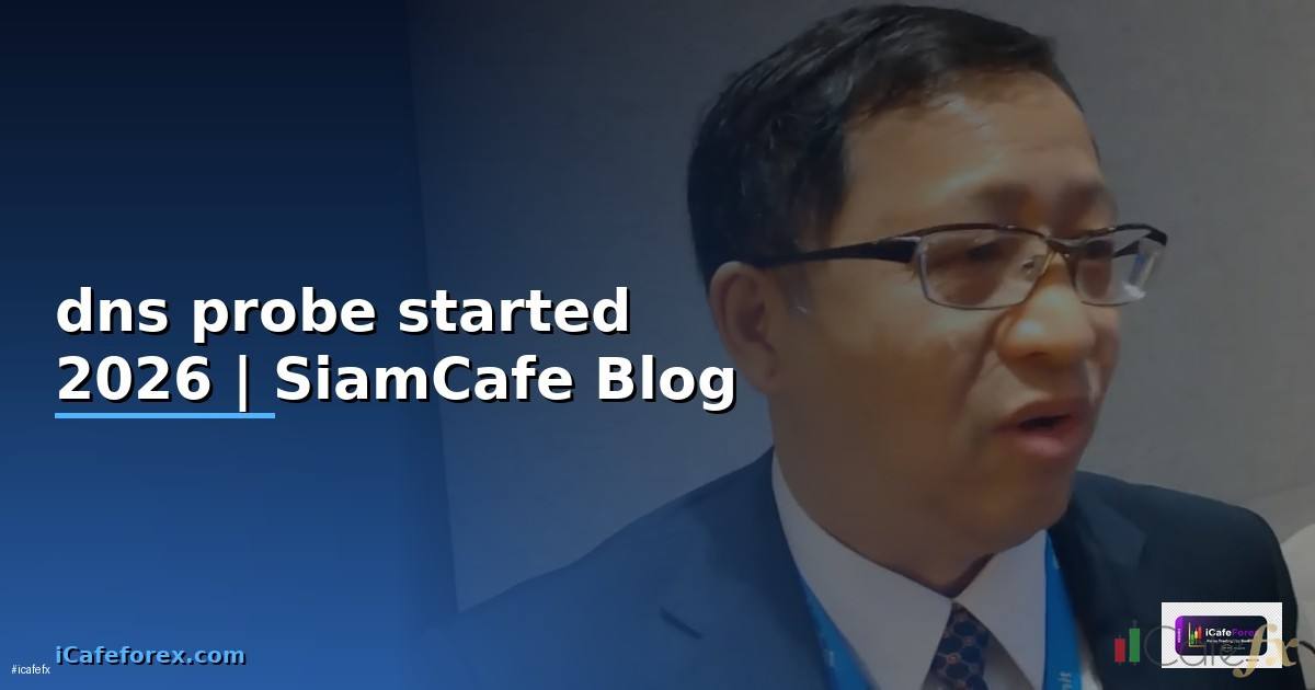 dns probe started คือ