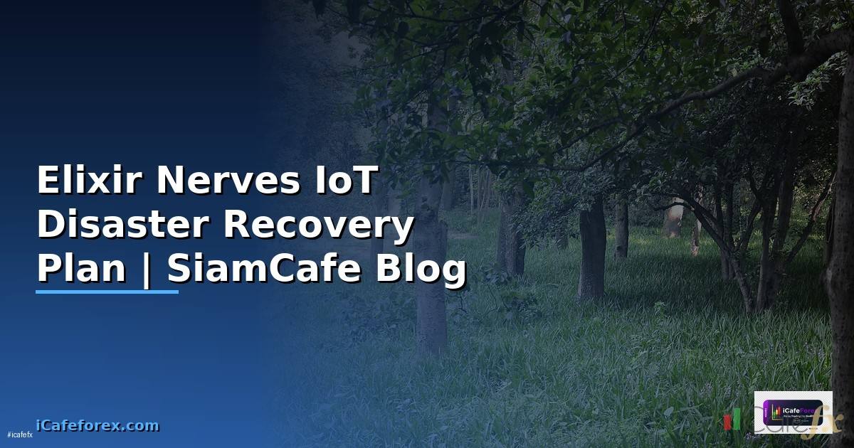 Elixir Nerves IoT Disaster Recovery Plan