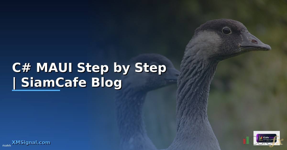 C# MAUI สำหรับมือใหม่ Step by Step
