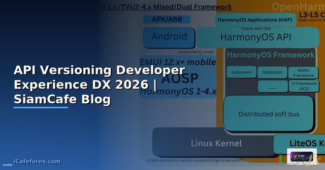 API Versioning Developer Experience DX