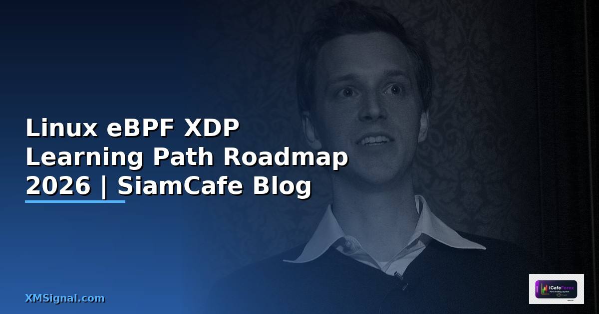 Linux eBPF XDP Learning Path Roadmap