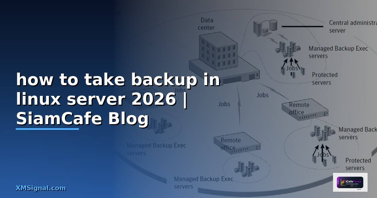 how to take backup in linux server