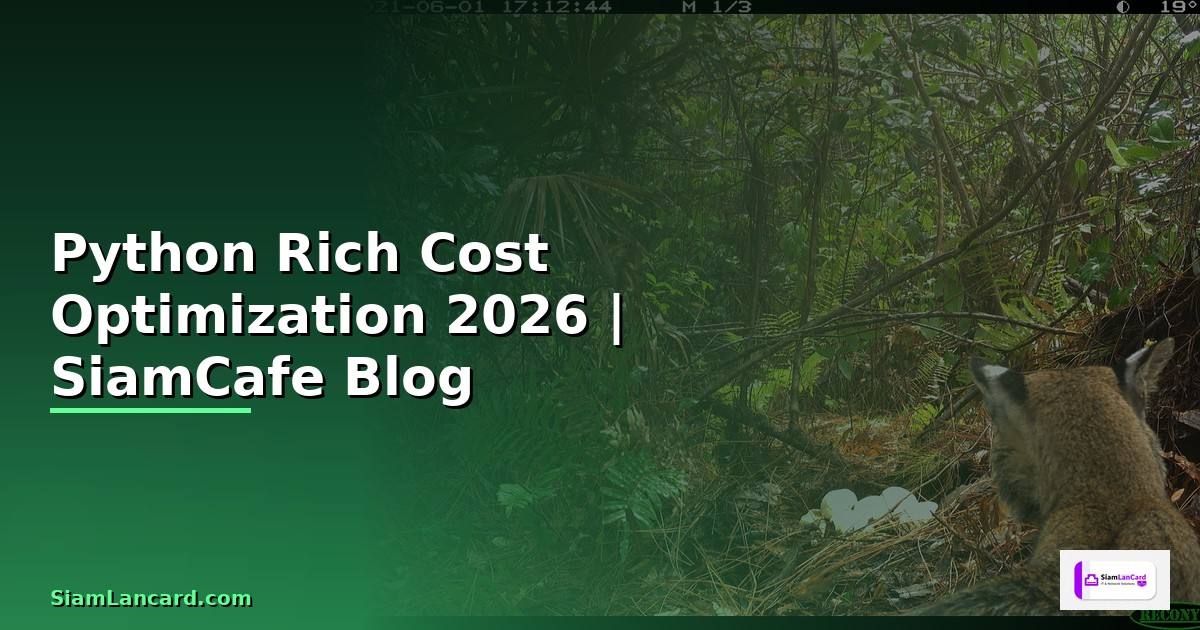 Python Rich Cost Optimization ลดค่าใช้จ่าย